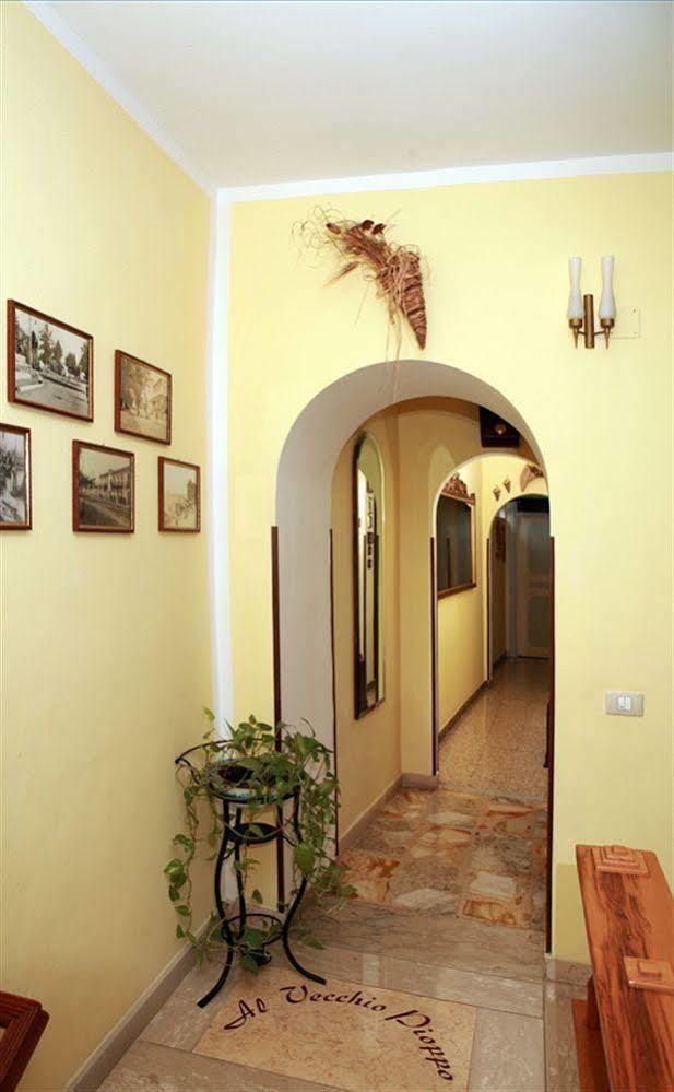 Al Vecchio Pioppo Praia a Mare Exterior foto